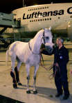 Italy's Tokyo Joe on arrival in Sydney