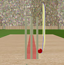 the ball, which bowled Caddick in the first Test between England and Pakistan