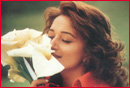 Madhuri Dixit-Nene