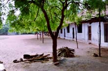 Village landscape